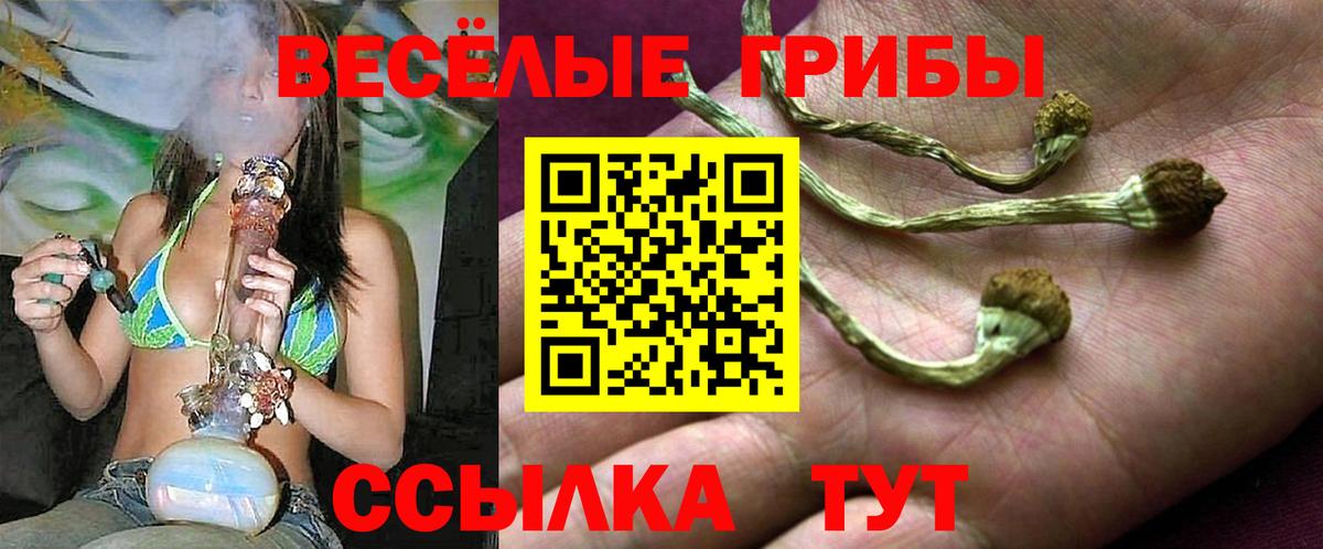 Псилоцибиновые грибы GOLDEN TEACHER Пушкино