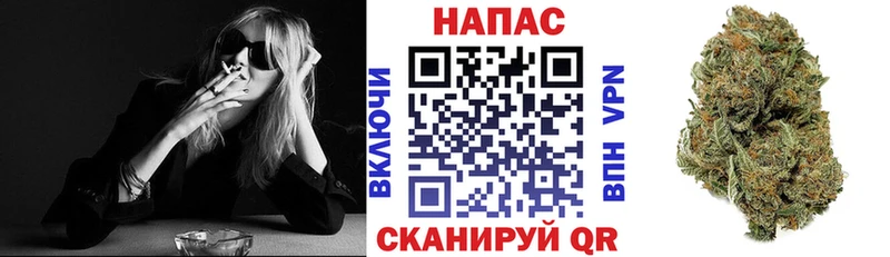 магазин продажи   Пушкино  Канабис семена 